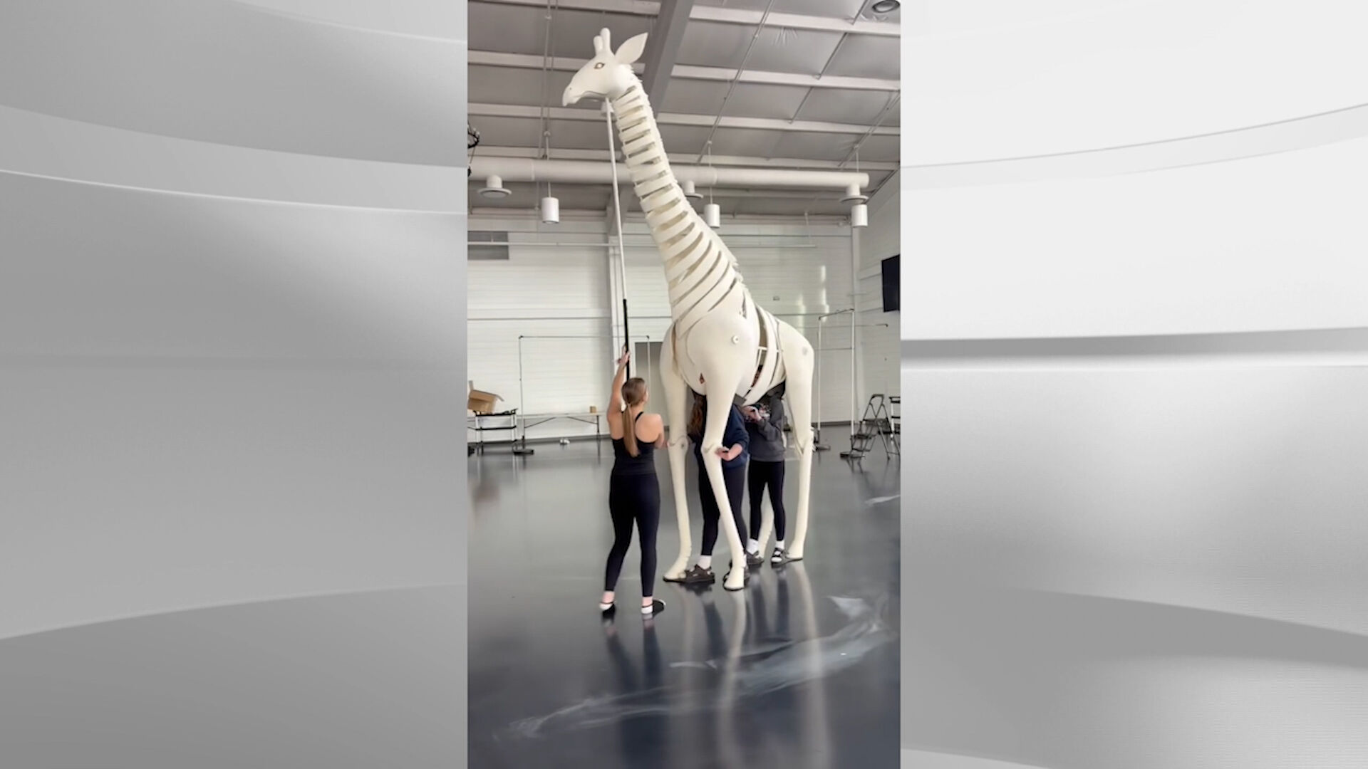 Embark on a "Symphonic Safari" with the Lima Symphony this Sunday